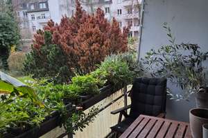 7 Monate Zwischenmiete in gemütlicher 2-Zimmer-Wohnung in Köln-Klettenberg – Die vollständige Adresse der Immobilie erhältst du vom Anbieter., 50939 Klettenberg, Köln – Vorschaubild 4
