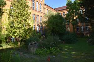 Kapitalanlage : urbanes Wohnen im Grünen. Dachgeschosswohnung am Park nahe Adlershof – Die vollständige Adresse der Immobilie erhältst du vom Anbieter., 12489 Adlershof, Berlin – Vorschaubild 13