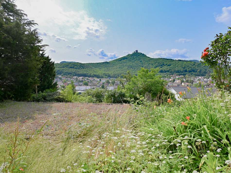 Garten mit Aussicht