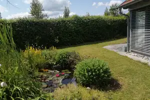 Schönes Wohnhaus in ruhiger Lage – Main-Tauber-Kreis – Vorschaubild 6
