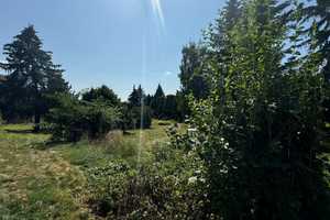 Einfamilienhaus mit riesigem Grundstück kinderfreundliche Umgebung 5 Min vom "Süßen See" in Erdeborn – Mansfeld-Südharz (Kreis) – Vorschaubild 23
