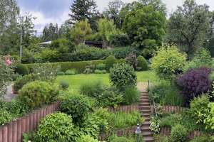 Property thumbnail 10