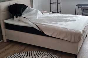 Modernes WG-Zimmer mit Stil – möbliert, zentral & all-inclusive – Kärcherstraße 2, 76185 Karlsruhe – Vorschaubild 5