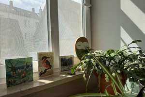 ** Fürth at it`s BEST * historisches Ambiente * ca. 106 qm * 5 Zi * Kapitalanlage in bester LAGE ** – Die vollständige Adresse der Immobilie erhältst du vom Anbieter., 90762 Altstadt, Innenstadt, Fürth – Vorschaubild 13