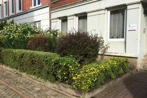 Helle, schöne und gepflegte Altbauwohnung mit Dielenfussboden und Einbauküche – Fockstrasse 26, 24114 Südfriedhof, Kiel – Vorschaubild 16