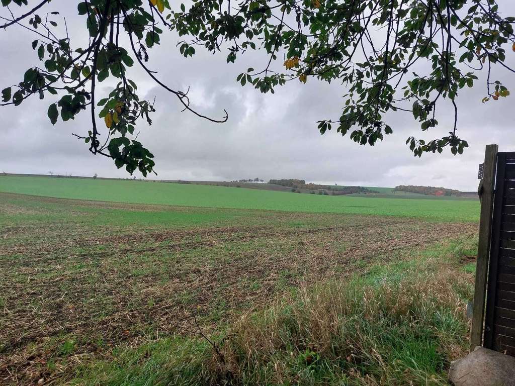 Immobilie in Jerxheim - Investment-Chance: Modernisiertes 6-Parteien-Haus mit attraktiver Rendite (8,3%) & Ausbaupotenzial - Bild 4