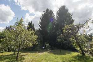 HOMESK – Doppelhaushälfte in Britz mit viel Potenzial und großzügigem Garten – Seerosensteig 14, 12347 Berlin – Vorschaubild 32