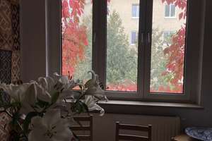 Helle 2-Zimmer Wohnung im 3. OG in Schwabing-West – Hohenzollernstraße 23, 80801 Schwabing-Ost, München – Vorschaubild 10