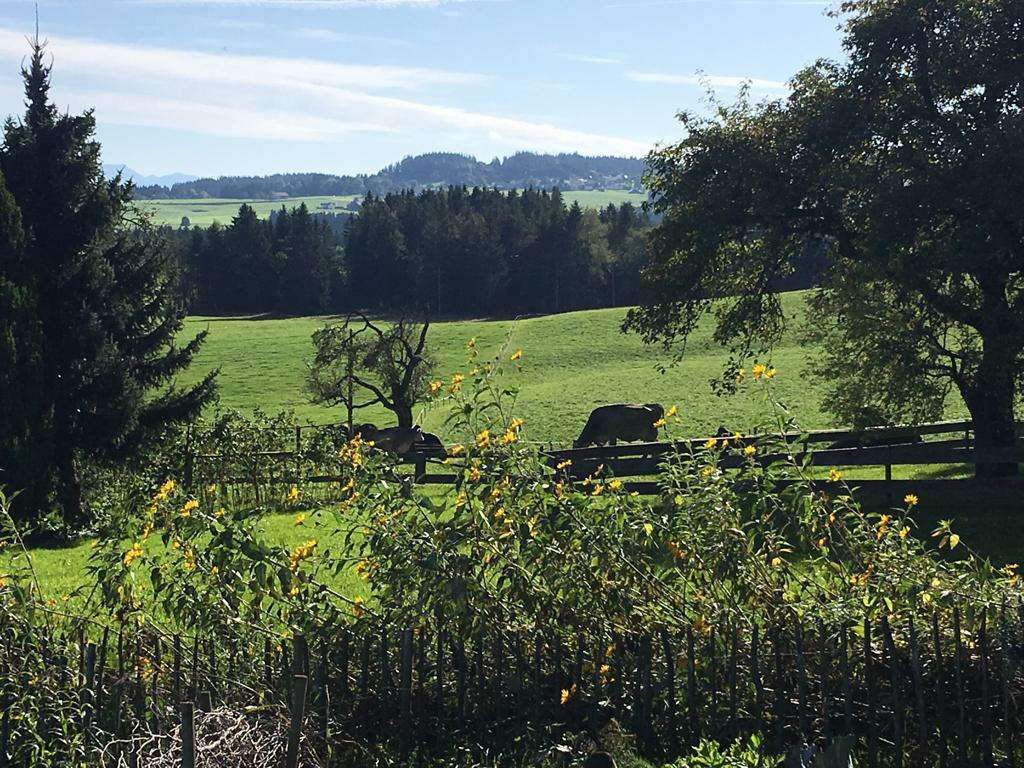 Immobilie in Heimenkirch - Ehemaliger Bauernhof in toller Lage mit Bergblick! - Bild 3