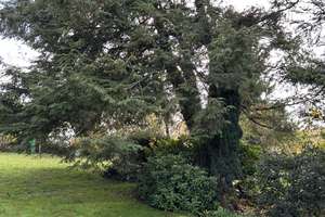  Ein Einfamilienhaus mit besonderem Charme, eingebettet in einen herrlich eingewachsenem Garten – Brockenberg 6, 45549 Sprockhövel – Vorschaubild 23