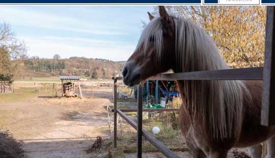 Bild von Schönes Anwesen für reitbegeisterte Familien, Tierarzt, Freiberufler o. Home-Office-Bedarf