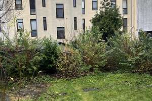 schöne 2 Zimmer Erdgeschosswohnung mit Gartennutzung – Hannastraße 17, 27568 Mitte, Bremerhaven – Vorschaubild 6