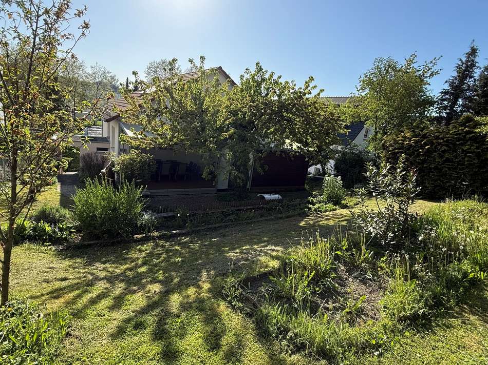 Garten hinter dem Haus