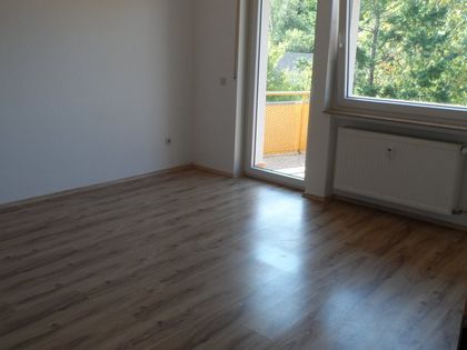 Wohnung Mieten In Michelstadt Immobilienscout24