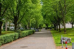 Wohnen über den Baumkronen: vermietete 2-Zimmer-Wohnung mit Loggia und TG-Stellplatz in München-Ne – Die vollständige Adresse der Immobilie erhältst du vom Anbieter., 81735 Neuperlach, München – Vorschaubild 2
