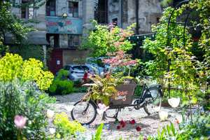 Property thumbnail 12