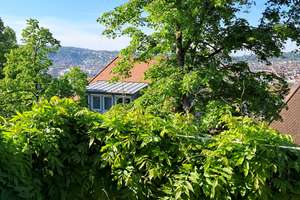 Ausblick gesucht? Ihr Zuhause in Hanglage! ...mit großem Garten, Terrassen, Wintergarten, Balkon... – Die vollständige Adresse der Immobilie erhältst du vom Anbieter., 70192 Relenberg, Stuttgart – Vorschaubild 45