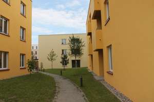3 Zimmer mit eigenem Garten direkt am Spielplatz – perfekt für Familien – Elisabethweg 5, 17489 Innenstadt, Greifswald – Vorschaubild 3