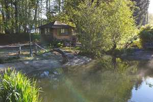 Repräsentatives Wohnhaus mit parkähnlicher Gartenanlage im Fichtelgebirge – Bayreuth (Kreis) – Vorschaubild 53