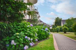 MIT Erbpacht - Bezaubernde Gartenwohnung, mediterranes Flair und auch noch nah am Rhein! – Steinkribbenstraße 7, 40597 Benrath, Düsseldorf – Vorschaubild 20