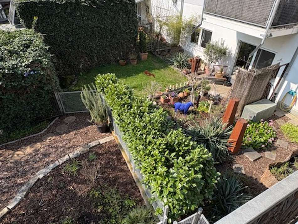 Ausblick vom Balkon II