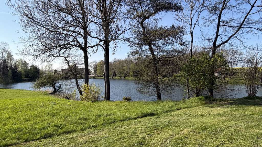 Immobilie in Bad Lausick - Einfamilienhaus in Alleinlage am Wasser - Bild 2
