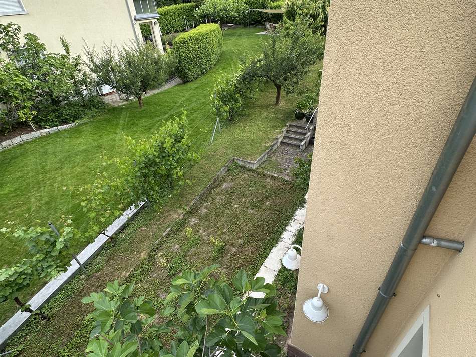 Ausblick