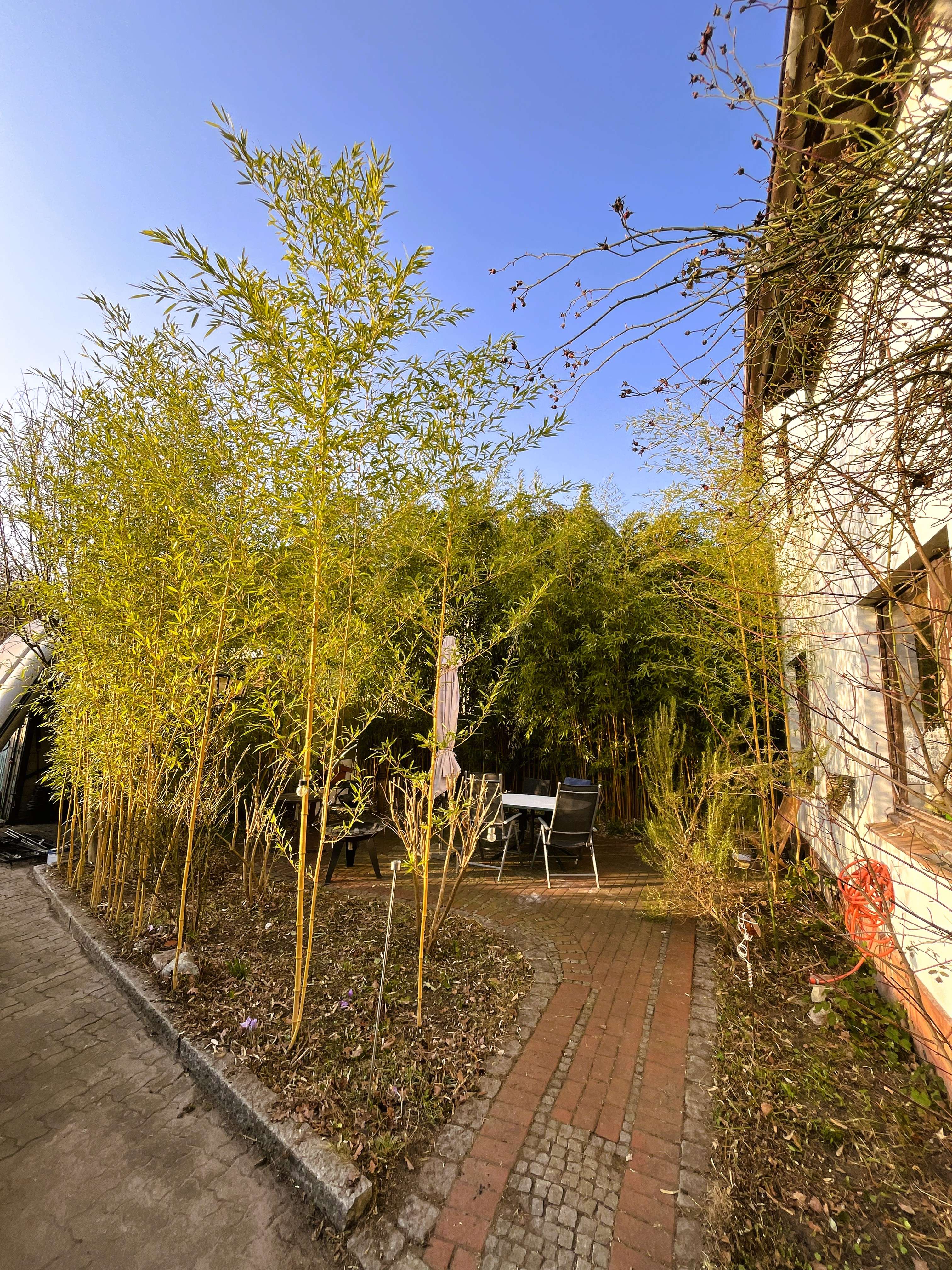 Historisches Haus auf 1.364 m² Grundstück – Dornröschen möchte aus dem Schlaf geweckt werden!, Hamburg – Bild 3