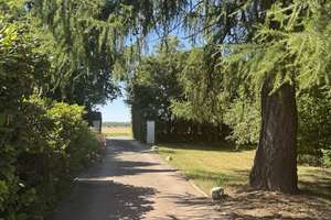 Skandinavischer Wohntraum / Wohnen und Arbeiten im Einklang mit der Natur - einzigartiges Bloc – 38239 Drütte, Salzgitter – Vorschaubild 4