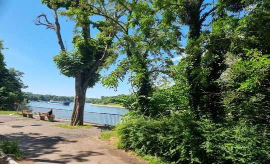 3 Zimmer ETW mit 98 qm in Lindenhof/Rheinpromenade in 1. Reihe mit freiem Blick auf den Rhein
