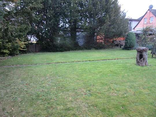 Garten 1 Garten 1