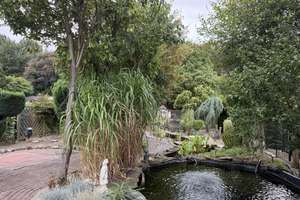 Für Gartenliebhaber: Großzügiges Mietshaus mit Teichanlage und weitläufigem Garten in Dortmund D – 44369 Deusen, Dortmund – Vorschaubild 17