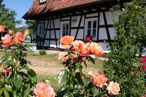 Seltenes Immobilienangebot: Charmantes Fachwerkhaus in Top-Zustand und einmaliger Lage – Rottweil (Kreis) – Vorschaubild 5