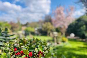 **Wunderschönes freistehendes Einfamilienhaus mit großzügigem Garten und Garage zu verkaufen** – Im Buscher Feld 14, 41189 Wickrath-West, Mönchengladbach – Vorschaubild 2