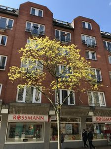Komplett renovierte 40 m² Wohnung in zentraler Lage von Kiel – bezugsfrei ab sofort