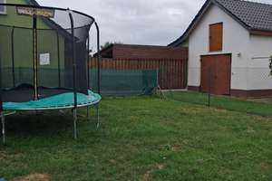 Viel Platz für den Alltag in diesem gepflegten Einfamilienhaus in Mühlberg/Elbe – 4895 Mühlberg/Elbe – Vorschaubild 3