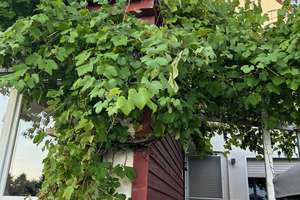 Provisionsfrei - Ihr Zuhause für die Familie und mehr – Die vollständige Adresse der Immobilie erhältst du vom Anbieter., 45149 Haarzopf, Essen – Vorschaubild 54