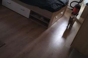 2-Zimmer Wohnung mit Balkon in Stuttgart-Mühlhausen – Arnoldstraße 34, 70378 Mühlhausen (Ortsteil), Stuttgart – Vorschaubild 5