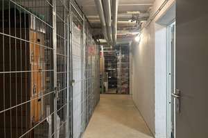 Property thumbnail 19