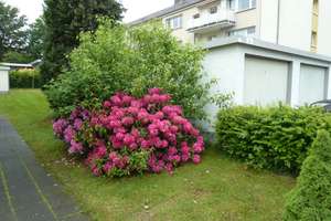 ruhiges Wohnen in absoluter Grünlage in Boelerheide-- Balkon-Stellplatz-Tageslichtbad – Vereinsstrasse 32, 58099 Boele, Hagen – Vorschaubild 18