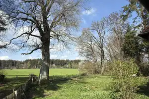 Charmantes historisches Ammerseehaus von 1903 mit weitläufigem Westgarten und Weitblick – Landsberg am Lech (Kreis) – Vorschaubild 6