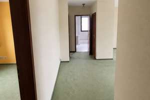 Sonnendurchflutete 3-Zimmer-Wohnung in Köln-Grengel – Die vollständige Adresse der Immobilie erhältst du vom Anbieter., 51147 Grengel, Köln – Vorschaubild 8