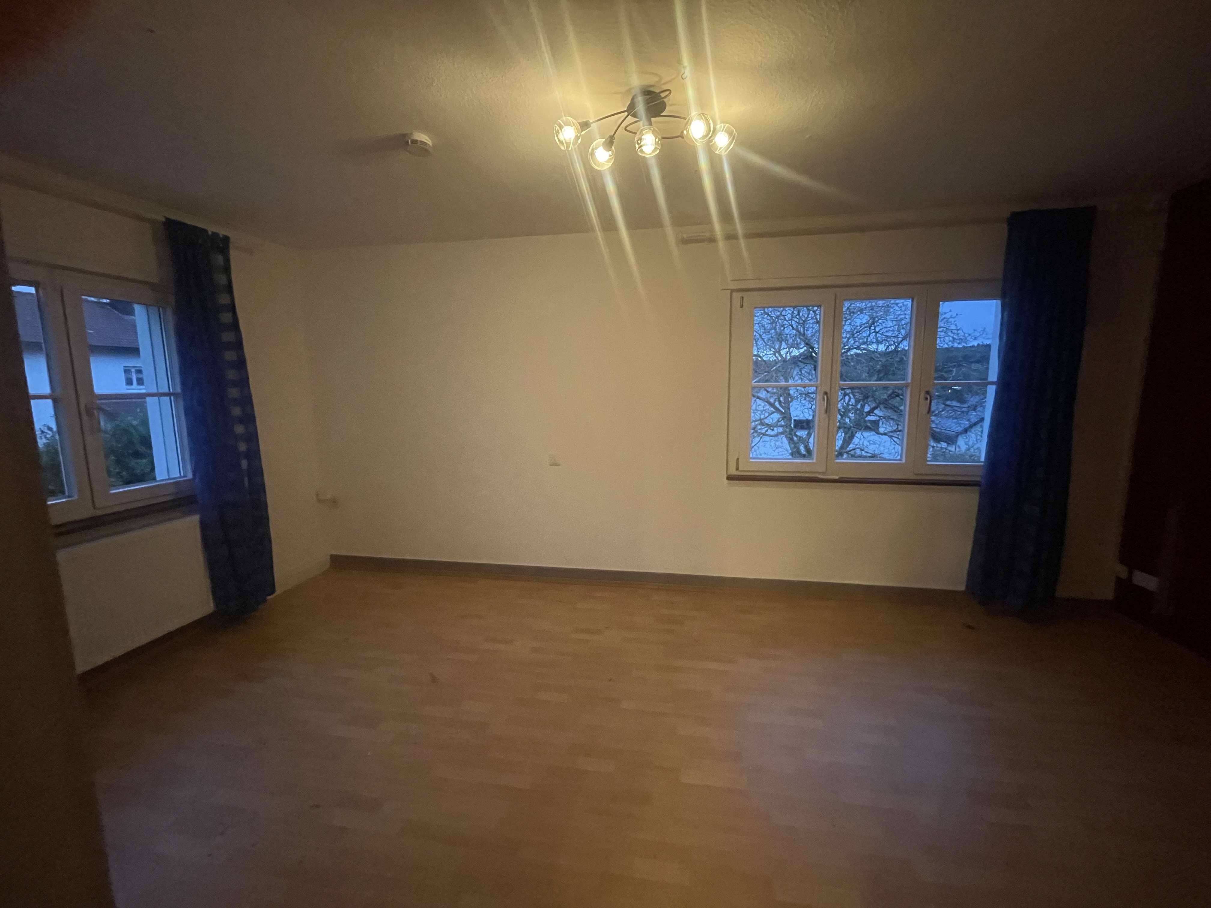 Immobilie in Rickenbach - EFH mit ELW 10 Zi  Villa von 1936 , 988 qm Grundstück , Quelle - Bild 6