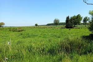 Provisionsfrei! Attraktiver Resthof, Einliegerwohnung, Ferienapartments, großer Halle und Hausweide – Die vollständige Adresse der Immobilie erhältst du vom Anbieter., 25715 Averlak – Vorschaubild 48