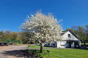 Exklusives Wohnen in naturnaher Alleinlage in Gelsenkirchen zwischen Essen und Bochum von Privat