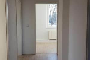 3-Raum Wohnung / Zum Friedensweiler / 65m² – Zum Friedensweiler 25, 39114 Berliner Chaussee, Magdeburg – Vorschaubild 4