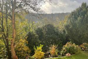 Property thumbnail 28