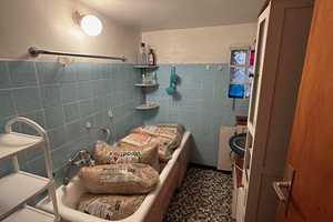 **reserviert**Einfamilienhaus mit Wintergarten am Waldrand. Traumausblick in die Natur !!! – Hersfeld-Rotenburg (Kreis) – Vorschaubild 28