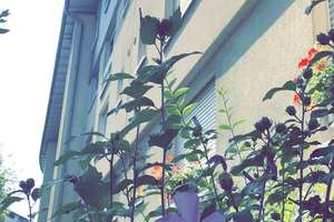 2-Zimmerwohnung ab 01.11.2026 mit Balkon – Ida-Dehmel-Ring 24, 68309 Käfertal, Mannheim – Vorschaubild 3
