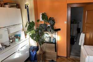 Reihenmittelhaus mit Anbau und Garage in zentraler Lage von Aschersleben – Die vollständige Adresse der Immobilie erhältst du vom Anbieter., 6449 Aschersleben – Vorschaubild 12